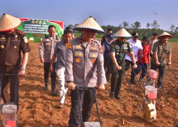 Tanam Jagung Serentak Bareng Kapolri via Zoom, Polda Lampung Mantap Kawal Swasembada Pangan 2025