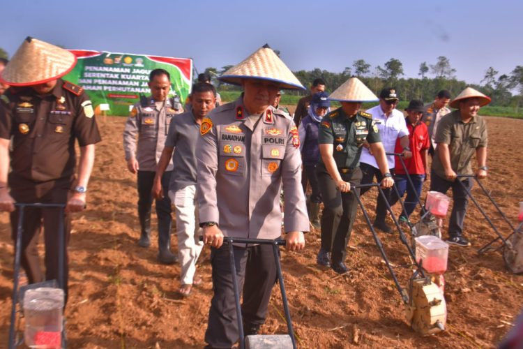 Tanam Jagung Serentak Bareng Kapolri via Zoom, Polda Lampung Mantap Kawal Swasembada Pangan 2025