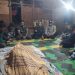 Petani Tewas Diduga Diterkam Harimau di Lampung Barat, Polisi Imbau Warga Waspada Aktivitas di Sekitar Hutan