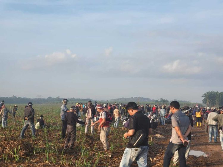 Tiga Kampung Anak Tuha Duduki Lahan PT BSA, Klaim Tanah Adat 807 Hektare