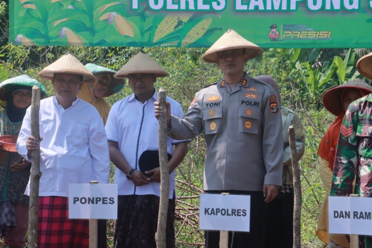 Polres Lampung Selatan Tanam Jagung di Ponpes Rodhotul Muta’allimin, Perkuat Ketahanan Pangan Komunitas