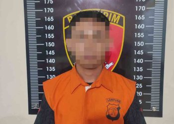 Tekab 308 Polsek Natar Ringkus Pencuri HP Mahasiswi di Acara Hajatan