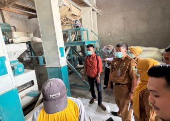 Survei Konversi Gabah Beras 2025 di Kabupaten Tanggamus: Upaya Memperkuat Ketahanan Pangan dan Mendorong Investasi Pengolahan Padi