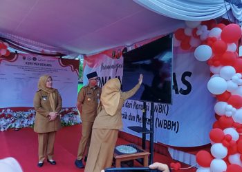 Rsj Jadi Perwakilan Penilaian Wbk 2025