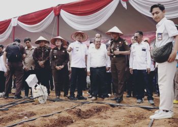Pringsewu Tingkatkan Produksi Jagung dan Dorong UMKM Melalui Program Mitra Adhyaksa