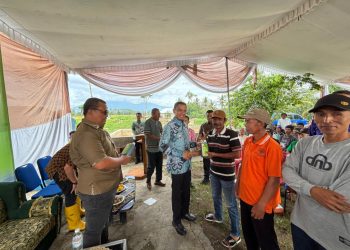 Wabup Tanggamus Agus Suranto Hadiri Panen Raya Padi Organik, Dorong Pertanian Sehat dan Berdaya Saing