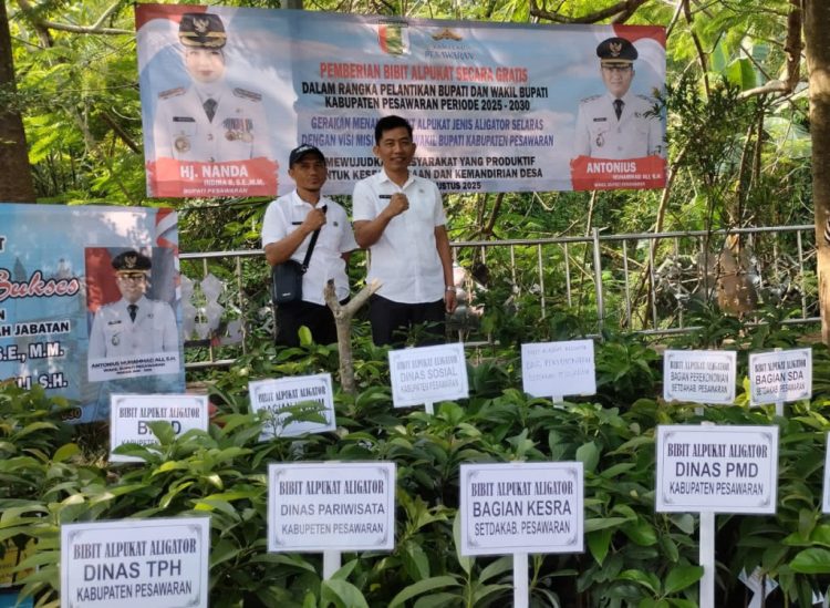 Pesawaran Tingkatkan Ketahanan Pangan, Pemkab Bagikan 700 Bibit Alpukat Aligator Gratis Menyambut Kepemimpinan Baru