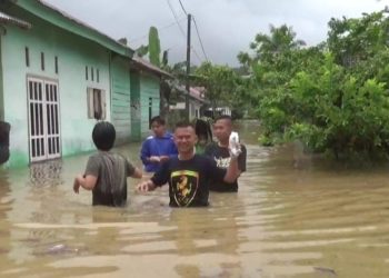 Banjir Melanda Wonosobo Tanggamus, Puluhan Rumah Terendam dan Dua Pekon Paling Parah