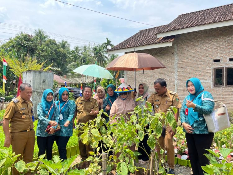 Ketua TP-PKK Tanggamus Tinjau Kesiapan Desa Tapis di Semaka