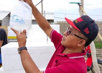 Kebangkitan Eks Petambak Dipasena: Panen Raya Udang Jadi Tonggak Harapan Baru