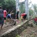 Jembatan Gantung Tampang Muda Mulai Terbentang, Gotong Royong Jadi Kekuatan Utama Percepatan Akses Warga