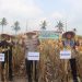 Polres Lampung Selatan Pimpin Panen Raya Jagung Serentak, Sinergi Polri dan Petani untuk Ketahanan Pangan