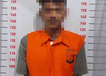 Polisi Bekuk Pelaku Pencurian Motor dan HP di Ketapang Lampung Selatan, Modus Tindakannya Bikin Merinding