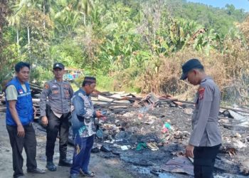 Kebakaran Hebat Hanguskan Rumah Warga di Pekon Sukajaya, Semaka: Korban Alami Luka dan Kerugian Rp50 Juta