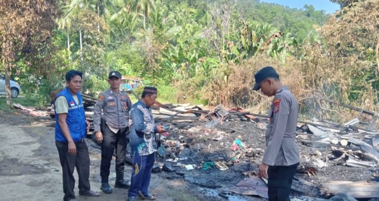 Kebakaran Hebat Hanguskan Rumah Warga di Pekon Sukajaya, Semaka: Korban Alami Luka dan Kerugian Rp50 Juta
