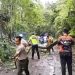 Sat Lantas Polres Tanggamus Bergerak Cepat Evakuasi Pohon Tumbang di Batu Kramat, Lalin Kembali Lancar