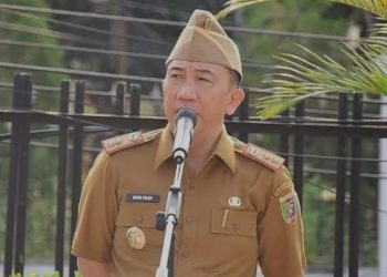 Lampung Ambil Langkah Strategis Lindungi Petani Singkong dan Industri Tapioka di Tengah Tekanan Harga Global