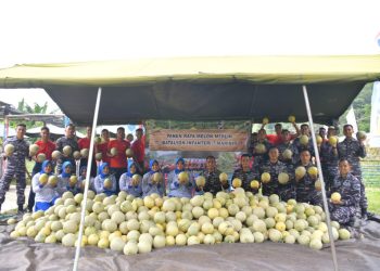 PANEN MELON & IKAN NILA: Yonif 7 Marinir TNI AL Panen Periodik ke-3 Tahun 2025, Wujud Nyata Komitmen Ketahanan Pangan dan Kesejahteraan Prajurit