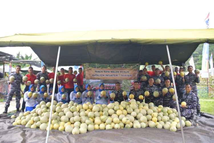 PANEN MELON & IKAN NILA: Yonif 7 Marinir TNI AL Panen Periodik ke-3 Tahun 2025, Wujud Nyata Komitmen Ketahanan Pangan dan Kesejahteraan Prajurit