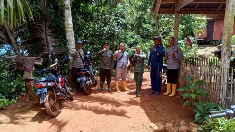 Beruang Madu Serang Kambing Warga di Tanggamus, Polsek Pematang Sawa dan Polhut Turun Tangan