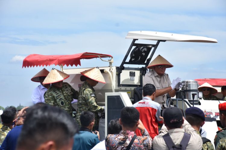 Lanal Lampung Dukung Panen Kedelai Nasional: Bukti Nyata TNI AL Perkuat Ketahanan Pangan Indonesia