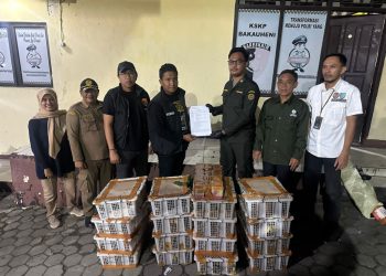 Heboh di Pelabuhan Bakauheni! Ratusan Burung Liar Diamankan Polisi dan BKSDA Lampung