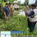 Tim Panitia A Kantah Pringsewu Turun Lapangan untuk Verifikasi Aset Strategis PT PLN di Pujiharjo