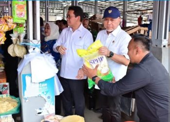 Menko Pangan dan Mendag Tinjau Stabilitas Harga Pangan di Lampung Selatan