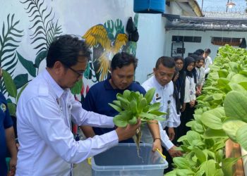 Panen Pakcoy di Lapas Kalianda Menghebohkan Publik: Dari Hijau Daun hingga Harapan Baru bagi Warga Binaan