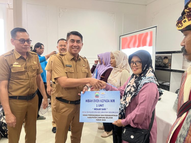 Pemkab Lampung Selatan Salurkan Hibah Alat Produksi IKM