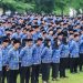 Ribuan Non ASN Pesawaran Masuk Skema PPPK Paruh Waktu