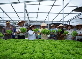 Hasil Panen Melimpah, Lapas Kalianda Sukses Jalankan Program Kemandirian Warga Binaan