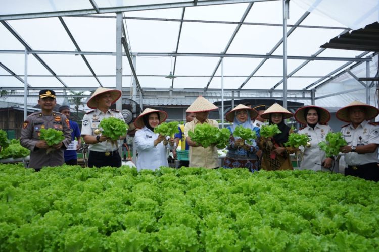 Hasil Panen Melimpah, Lapas Kalianda Sukses Jalankan Program Kemandirian Warga Binaan