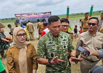 Kolaborasi TNI dan Pemda, Gerakan Tanam Padi Serentak Perkuat Lumbung Pangan Lampung