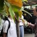 SMA Siger Tanpa Izin, Tanpa Kepastian: Dana Hibah Dipertanyakan
