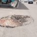 Infrastruktur Jalan Memprihatinkan, Pemkot Bandar Lampung Diminta Prioritaskan Perbaikan