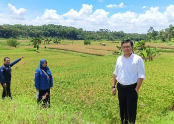 Kepala Kantor Pertanahan Pringsewu Tekankan Validitas Data dalam Survei ZNT