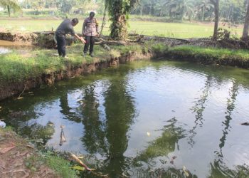 Warga Pringsewu Geger, Bocah 8 Tahun Ditemukan Tak Bernyawa di Kolam