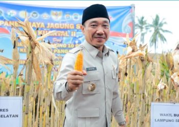 Wabup Syaiful Anwar Hadiri Panen Jagung Nasional di Kalianda Secara Virtual
