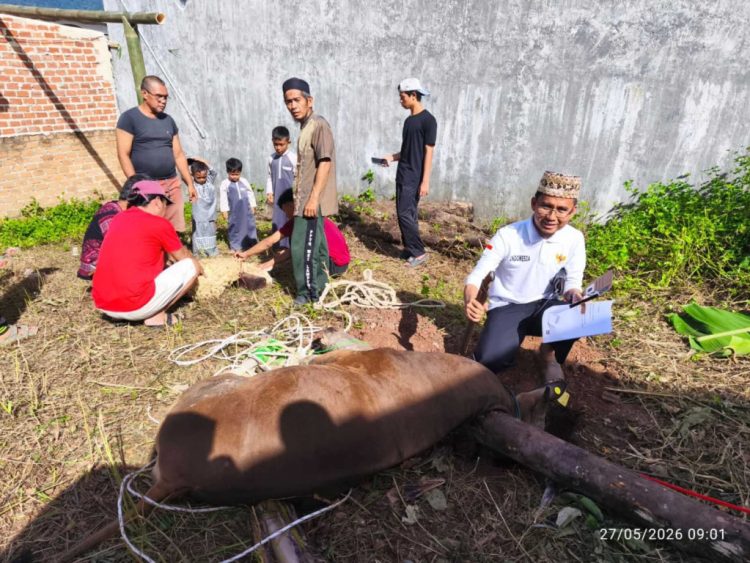 Qurban PPTQ MSI Lampung 1447 H Perkuat Semangat Sakai Sambayan dan Gotong Royong