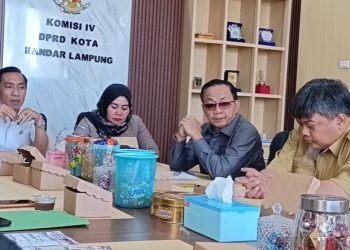 Dana Operasional Sekolah Belum Optimal, Insentif Kepala Sekolah Tuai Kritik