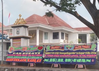 Viral Karangan Bunga Kritik Bupati Lampung Selatan, LSM Sebut Ini Momentum Refleksi Pemerintahan