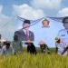 Syukuran Panen Padi Musim Gadu, Ketua DPRD Lampung Selatan Siapkan Langkah Hadapi Musim Tanam III