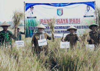 Petani Wonosari Panen Raya, Pemkab Pringsewu Genjot Ketahanan Pangan