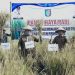 Petani Wonosari Panen Raya, Pemkab Pringsewu Genjot Ketahanan Pangan