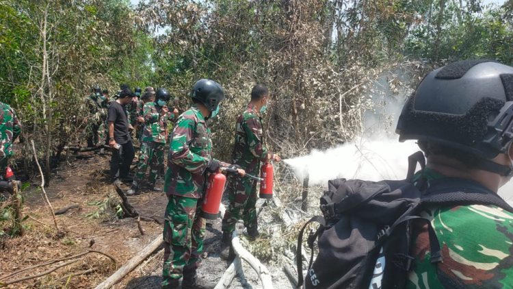 40 Personel TNI Terjun dari Udara ke Way Kambas, Ini Tugas Khusus Tim Alfa