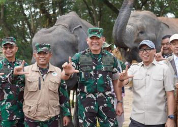 Redam Konflik Manusia-Gajah, Way Kambas Andalkan Lebah, Serai hingga Pelatihan Mahot