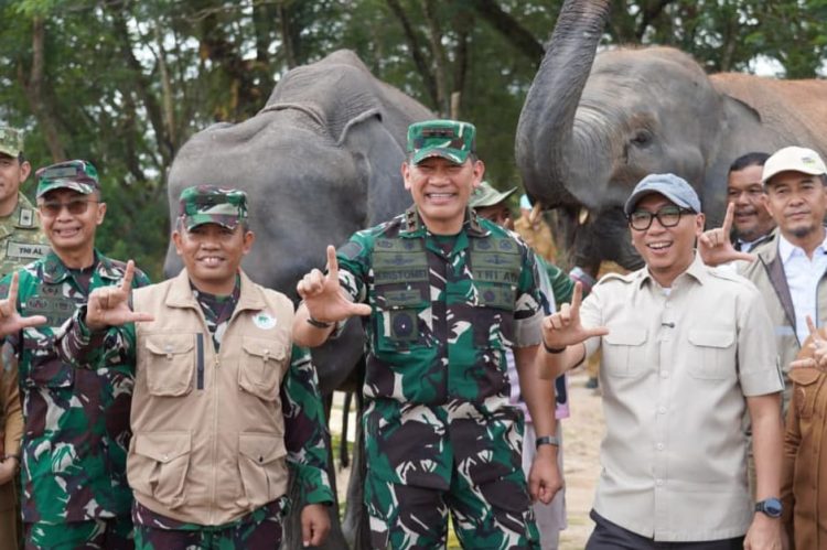 Redam Konflik Manusia-Gajah, Way Kambas Andalkan Lebah, Serai hingga Pelatihan Mahot