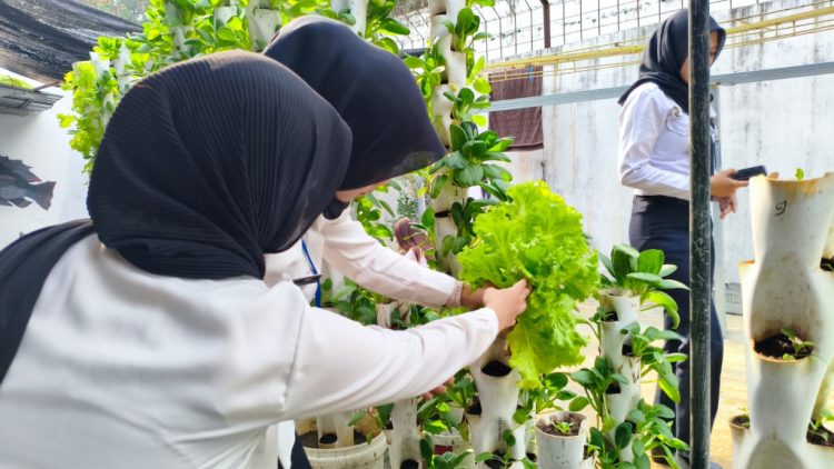 Berkebun Kreatif dengan Vertikultur, Lapas Kalianda Sulap Lahan Terbatas Jadi Produktif