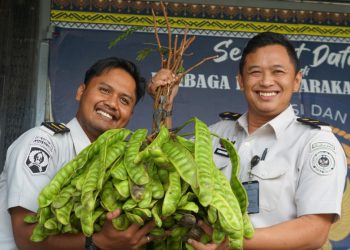 Tekun Berkebun, WBP Lapas Kalianda Berhasil Panen Pete dan Pare